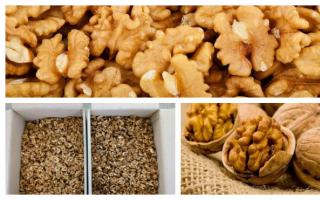 Walnuts: value, storage and cleaning of fruits