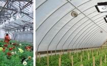 Infrared heating of polycarbonate greenhouses - professionals recommend IR heaters have additional options