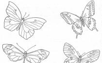 Как сделать бабочку: мастер-класс по изготовлению из различных материалов (110 фото) Как можно самой сделать бабочку